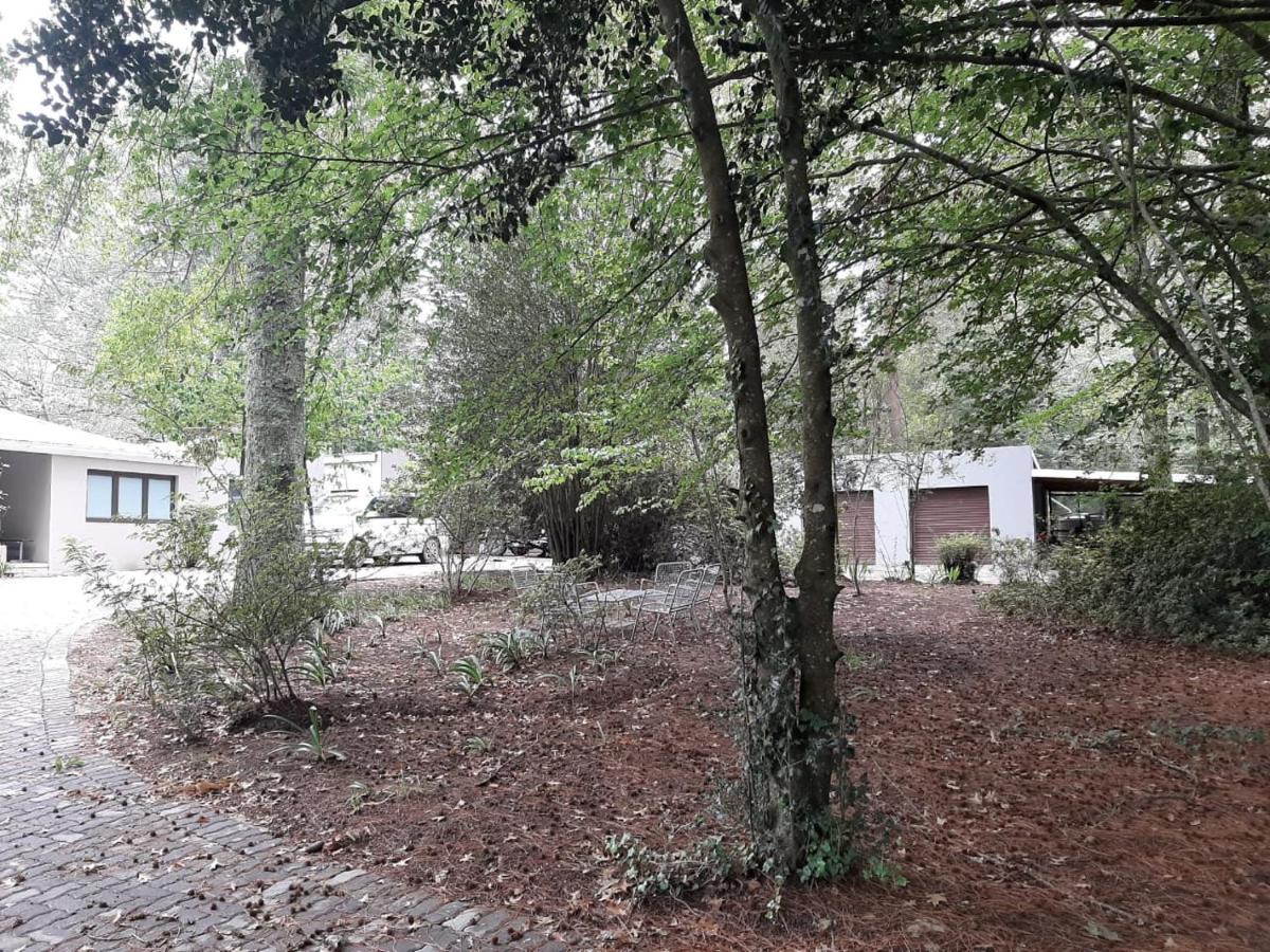 Camroshell Ξενοδοχείο Hogsback Εξωτερικό φωτογραφία
