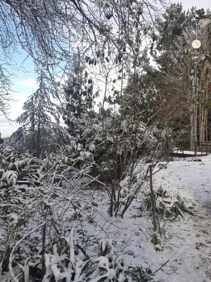 Camroshell Ξενοδοχείο Hogsback Εξωτερικό φωτογραφία