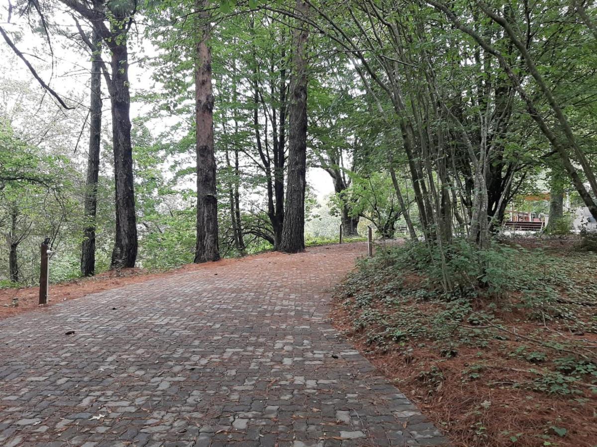 Camroshell Ξενοδοχείο Hogsback Εξωτερικό φωτογραφία