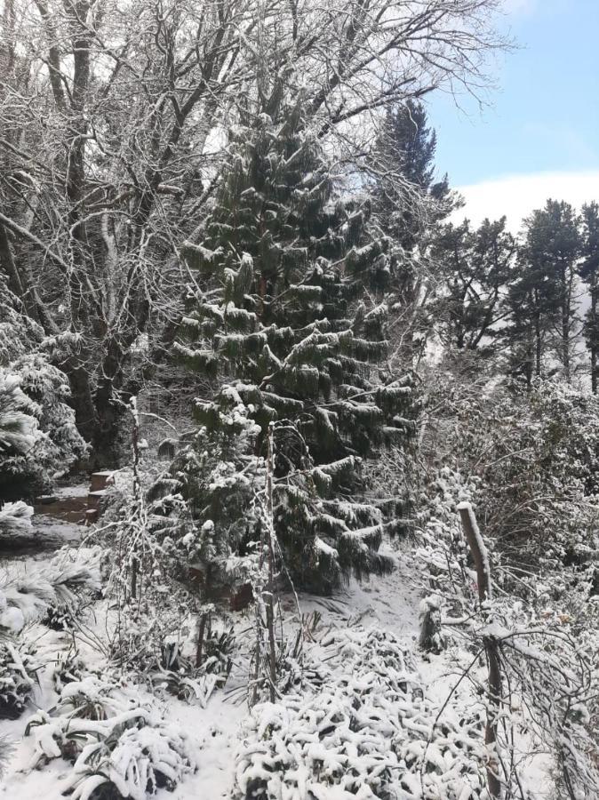 Camroshell Ξενοδοχείο Hogsback Εξωτερικό φωτογραφία