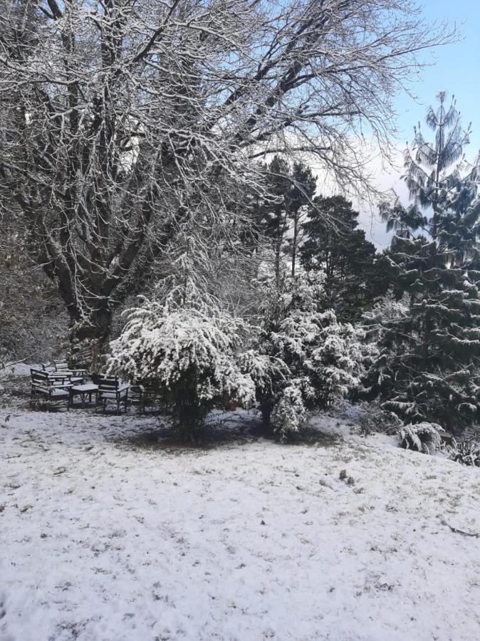 Camroshell Ξενοδοχείο Hogsback Εξωτερικό φωτογραφία