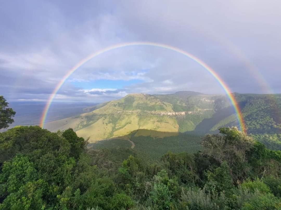 Camroshell Ξενοδοχείο Hogsback Εξωτερικό φωτογραφία